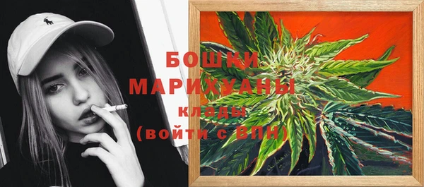 стаф Каменск-Шахтинский