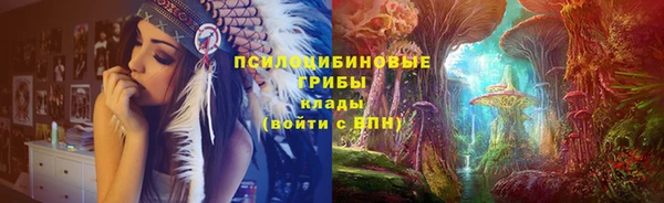 стаф Каменск-Шахтинский