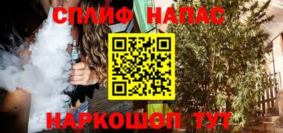крисы Кингисепп
