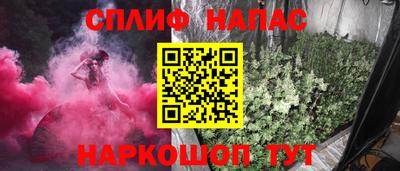 крисы Кингисепп