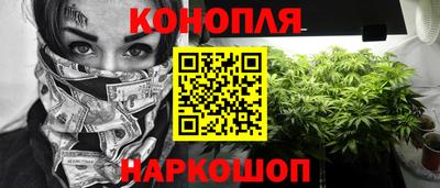 крисы Кингисепп