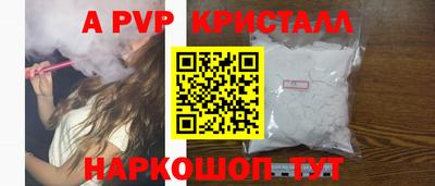 крисы Кингисепп