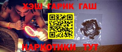 крисы Кингисепп