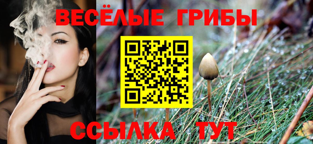 Клин  Галлюциногенные грибы MAGIC MUSHROOMS  Вход с VPN 